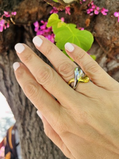 δαχτυλίδι f & l accessories