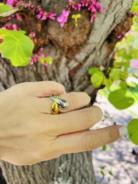 δαχτυλίδι f & l accessories